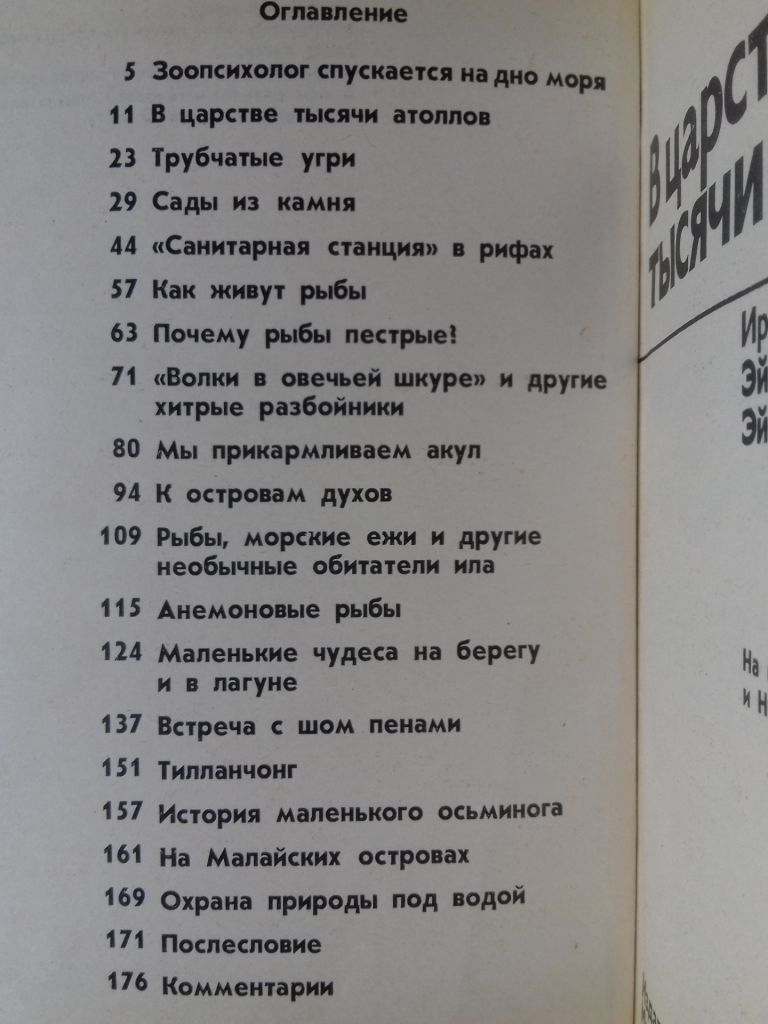 В царстве тысячи атоллов. - фото фото фото 7