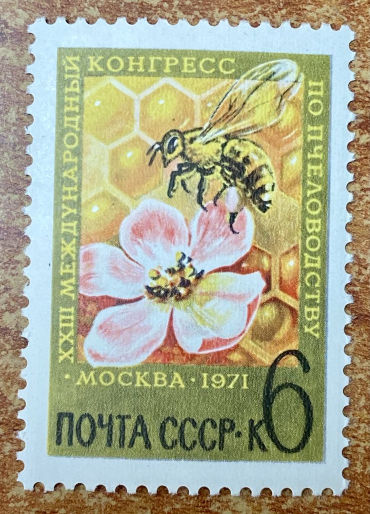 СРСР 1971 р. **  (SP) - фото фото фото 0