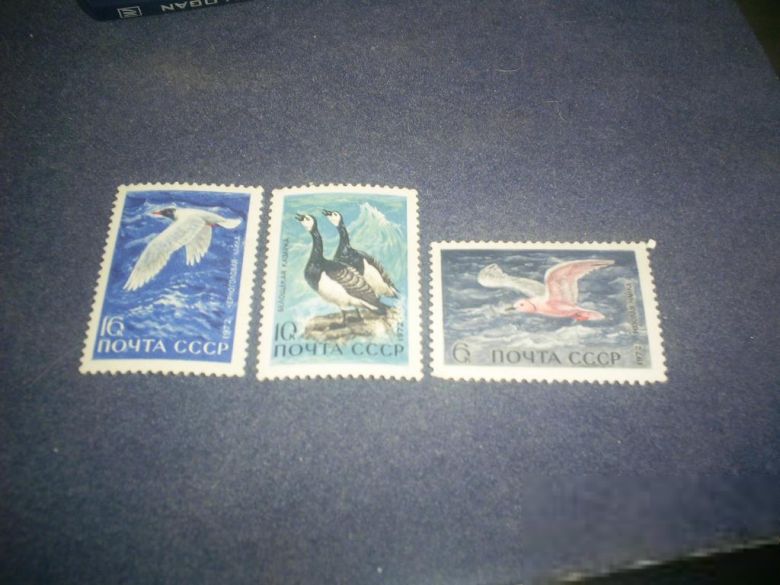 СССР-1972 г.-фауна - фото фото фото 0