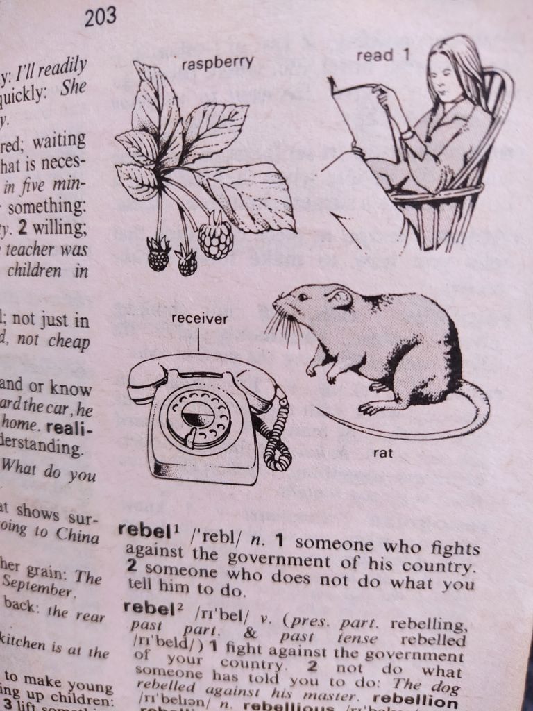 Oxford Basic English Dictionary -1989г. Oxford University Press. - фото фото фото 1