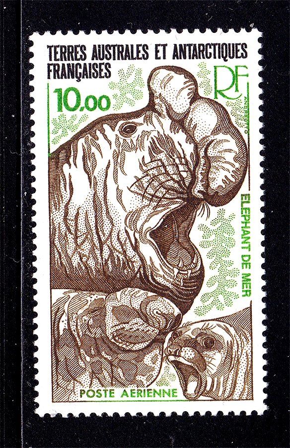NM Фауна ТААФ / TAAF 1978 г MNH - - фото фото фото 0