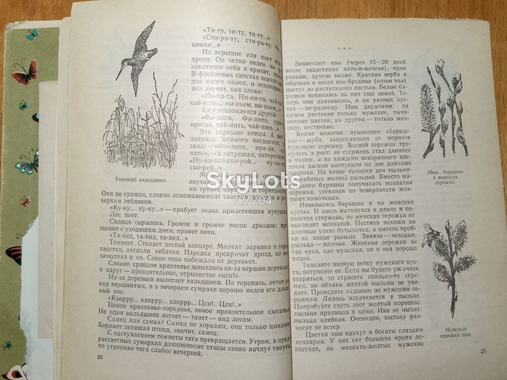 Плавильщиков. Юным любителям природы - фото фото фото 6