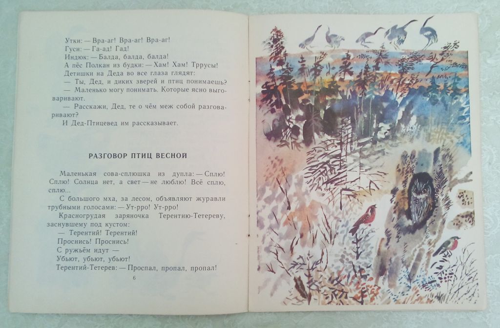 Бианки Птичьи разговоры Рисунки Н. Чарушина 1978г. - фото фото фото 2