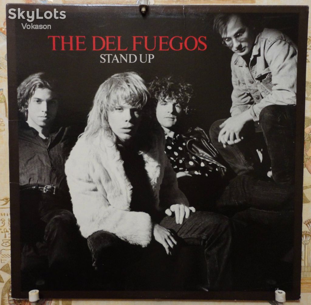 The Del Fuegos - Stand Up  NM/EX+/Mint - фото фото фото 0