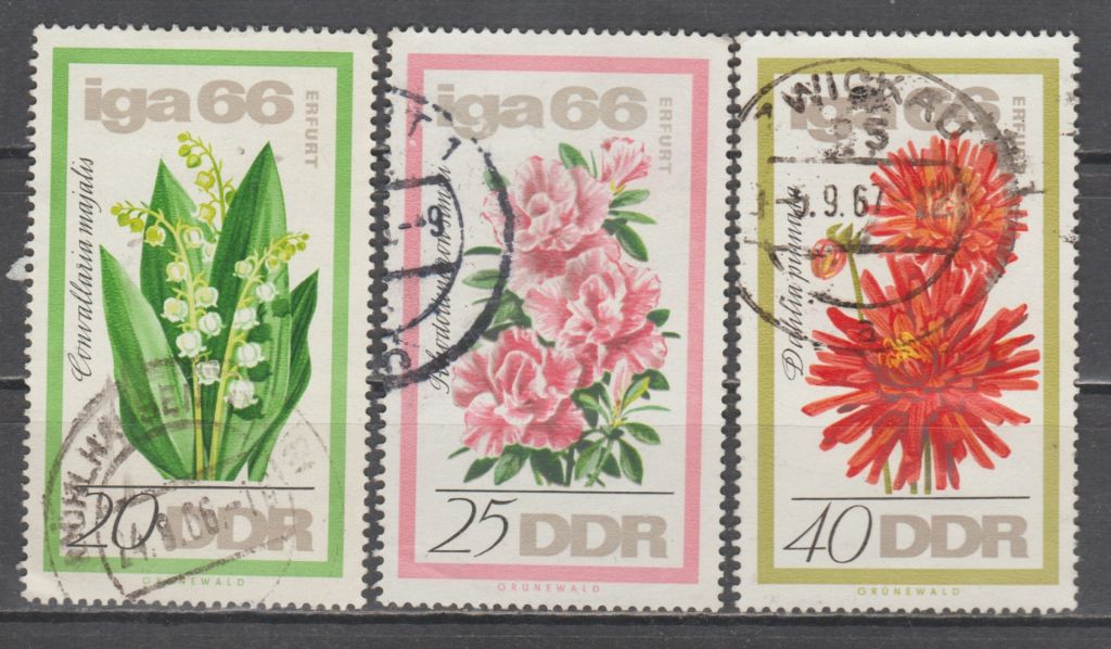 Германия Німеччина ГДР 1966 флора цветы - фото фото фото 0