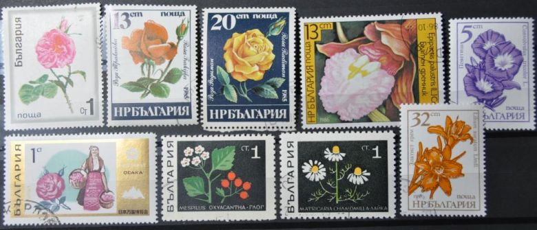Болгария Флора - фото фото фото 0