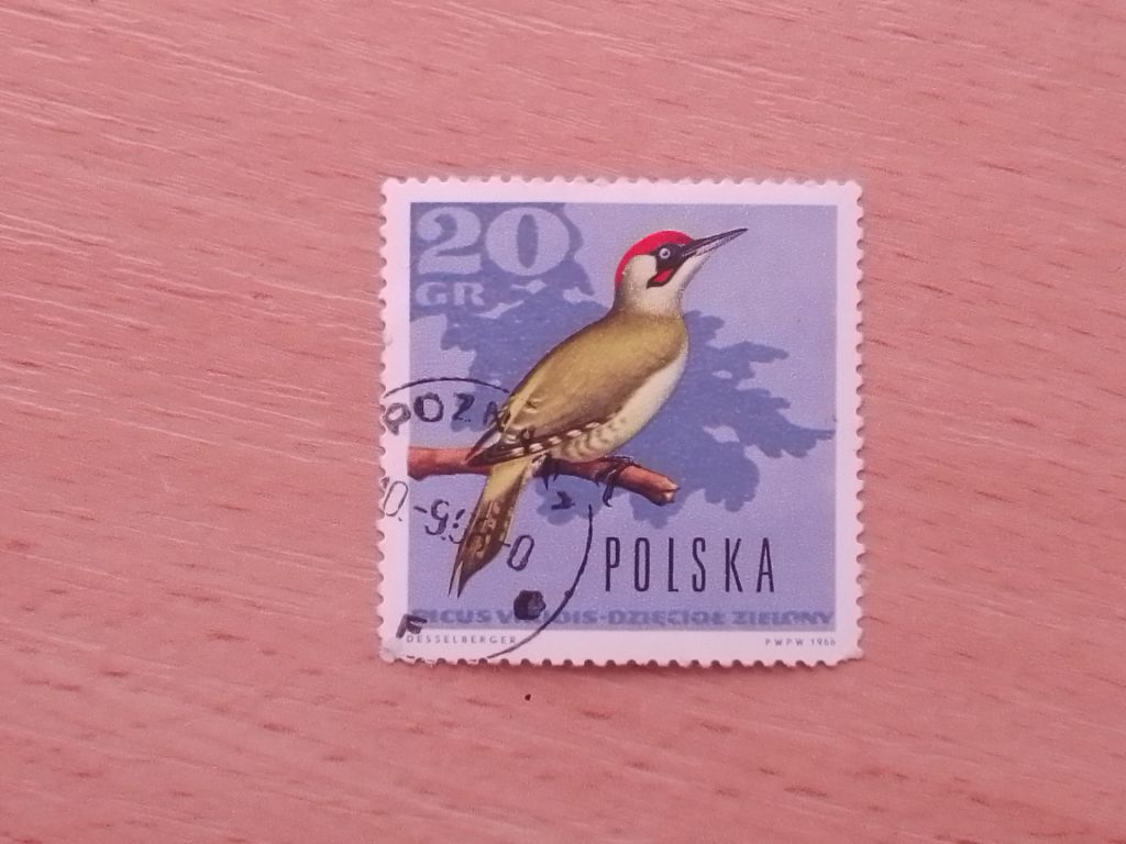 Распродажа, Польша - фото фото фото 0