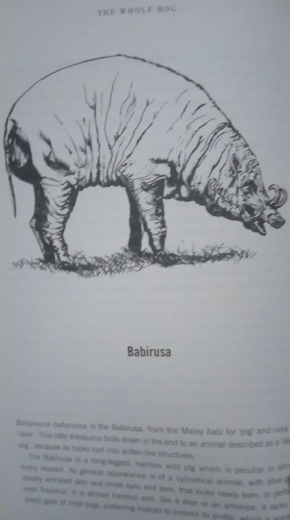 Whole Hog The Lyall  Watson English на Английском книга - фото фото фото 3
