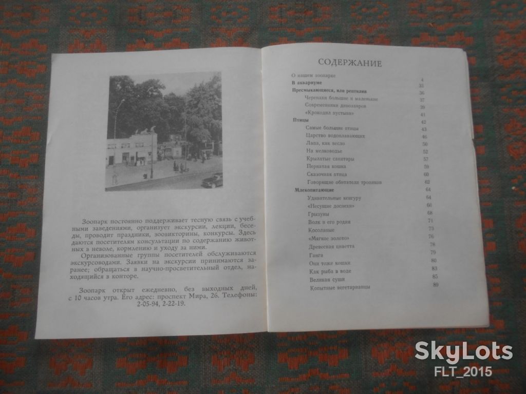 По Калининградскому  зоопарка    1974 г. - фото фото фото 8
