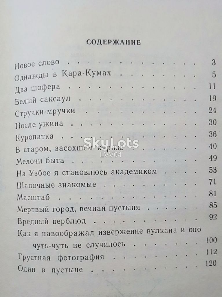 Шашурин. Однажды в Кара-Кумах - фото фото фото 7