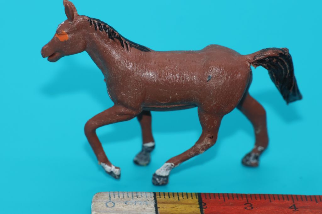 конячка кінь ТВАРИНИ животные Гонконг - фото фото фото 0