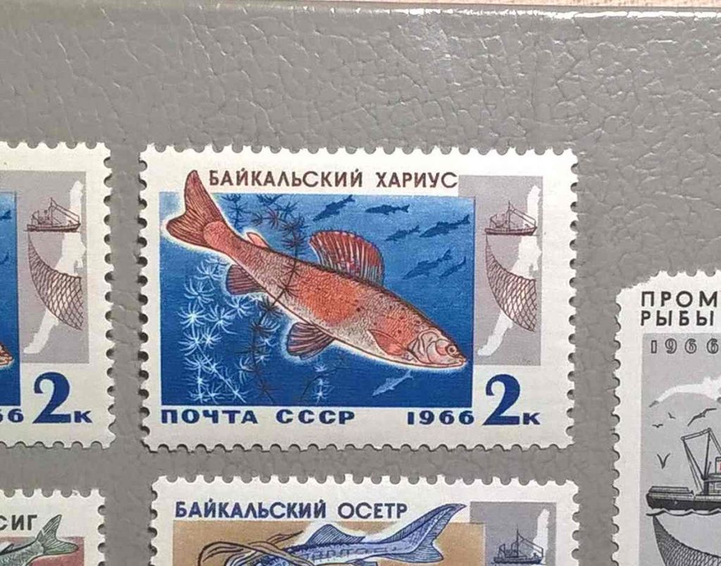 СССР Фауна Рыбы 1966 - фото фото фото 0