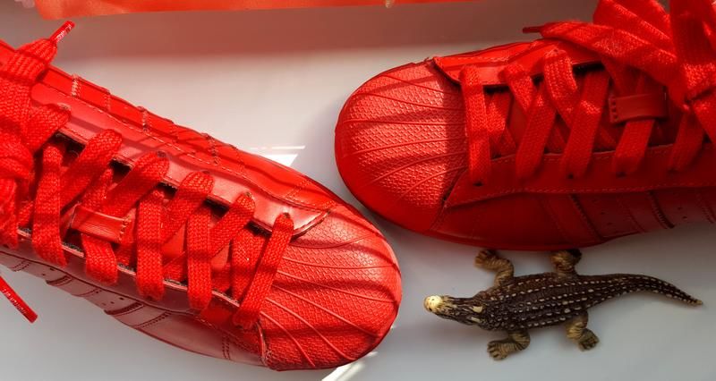 Limited edition adidas superstar original equality pharrell williams - фото фото фото 4