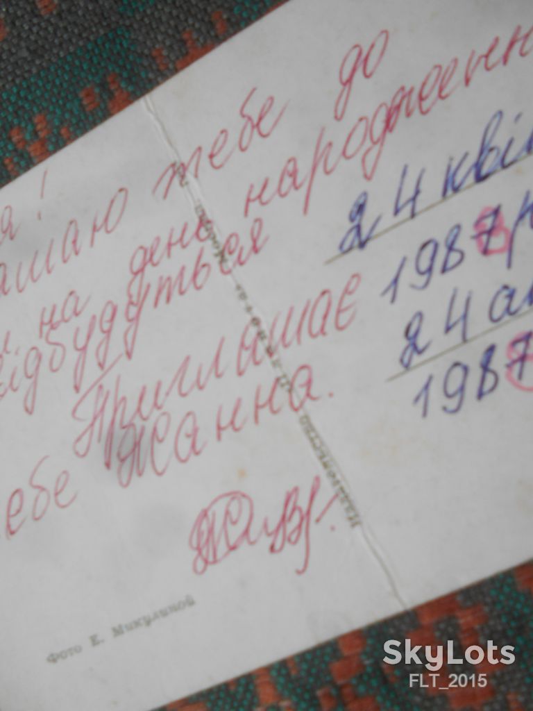 Любит - не любит ...  Ромашка  1968 г. - фото фото фото 3
