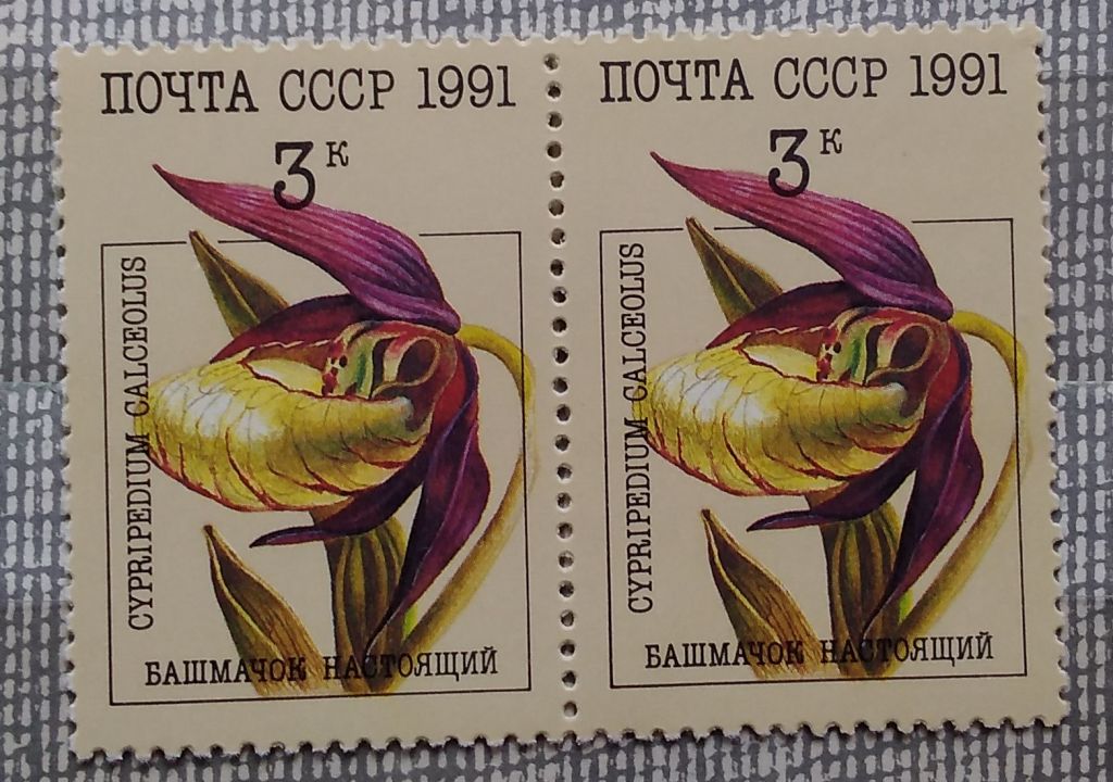 СССР 1991 г - Орхидеи,   Башмачок настоящий,  пара, негаш - фото фото фото 0