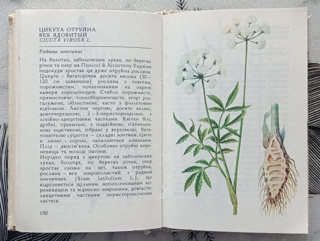 Ю.Я. Єлін. М.М. Грисюк. Рослини луків і боліт. - фото фото фото 5