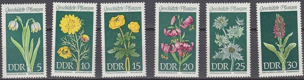 ГДР 1969 флора цветы Mi 1456-1461 MNH - фото фото фото 0