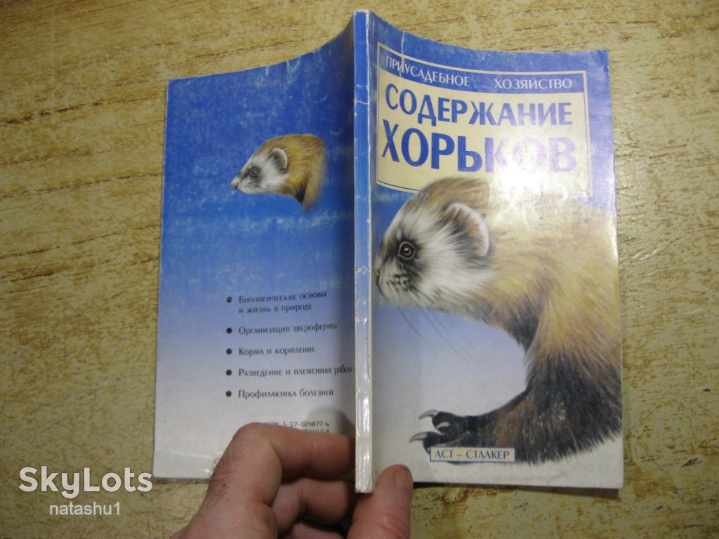 содержание хорьков 2004г - фото фото фото 7