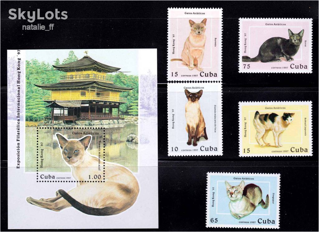 NM Фауна  Куба 1997 г MNH - кошки - - фото фото фото 0