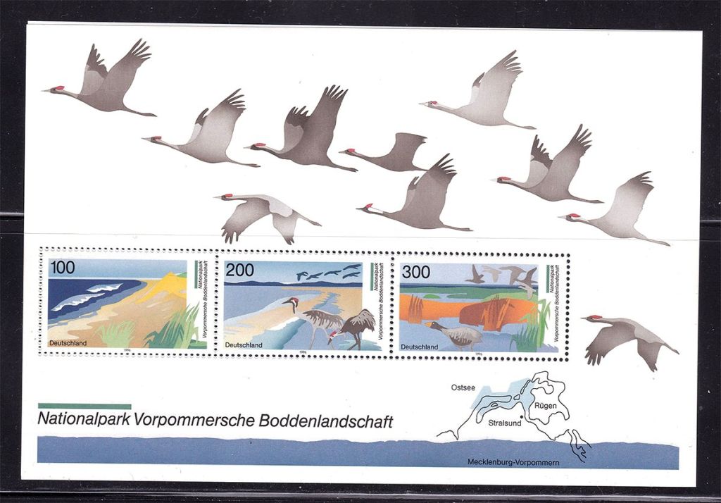 Германия   1996 г MNH   -  блок - фауна , птицы - - фото фото фото 0