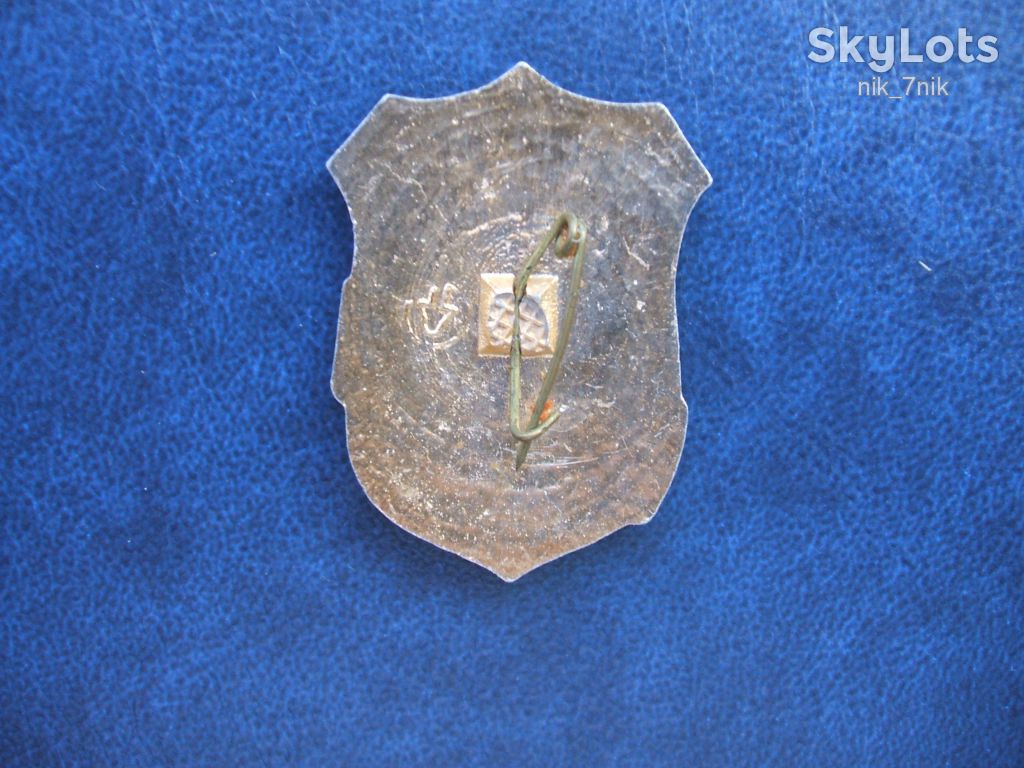Знак. Дружинник. - фото фото фото 5