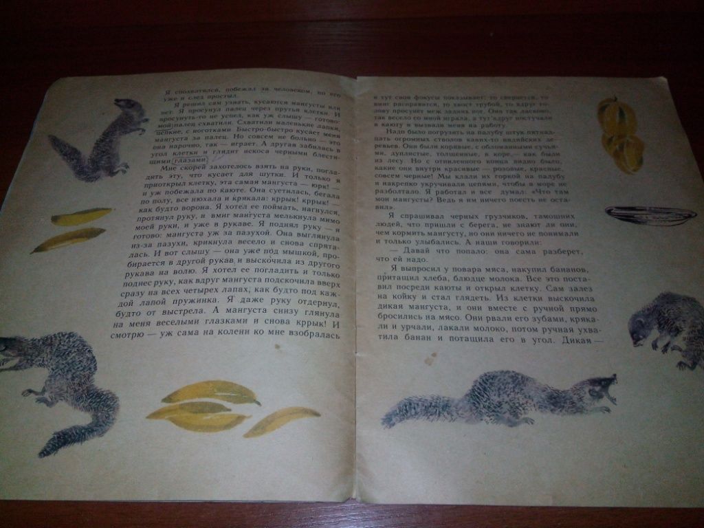 Борис Житков МАНГУСТА  (Рисунки Н. Чарушина) - фото фото фото 2