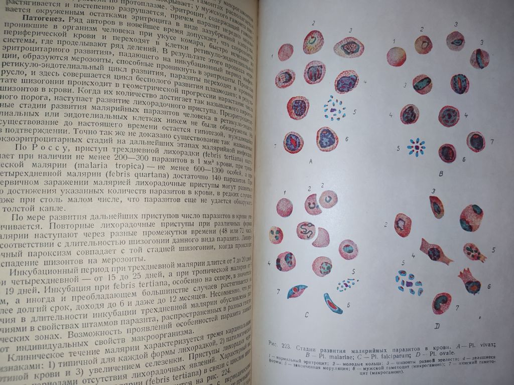 книга: УЧЕБНИК МЕДИЦИНСКОЙ МИКРОБИОЛОГИИ. II-e изд. 1949г.; - фото фото фото 7