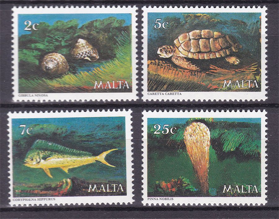 NM Фауна Мальта  1980 г  MNH - - фото фото фото 0