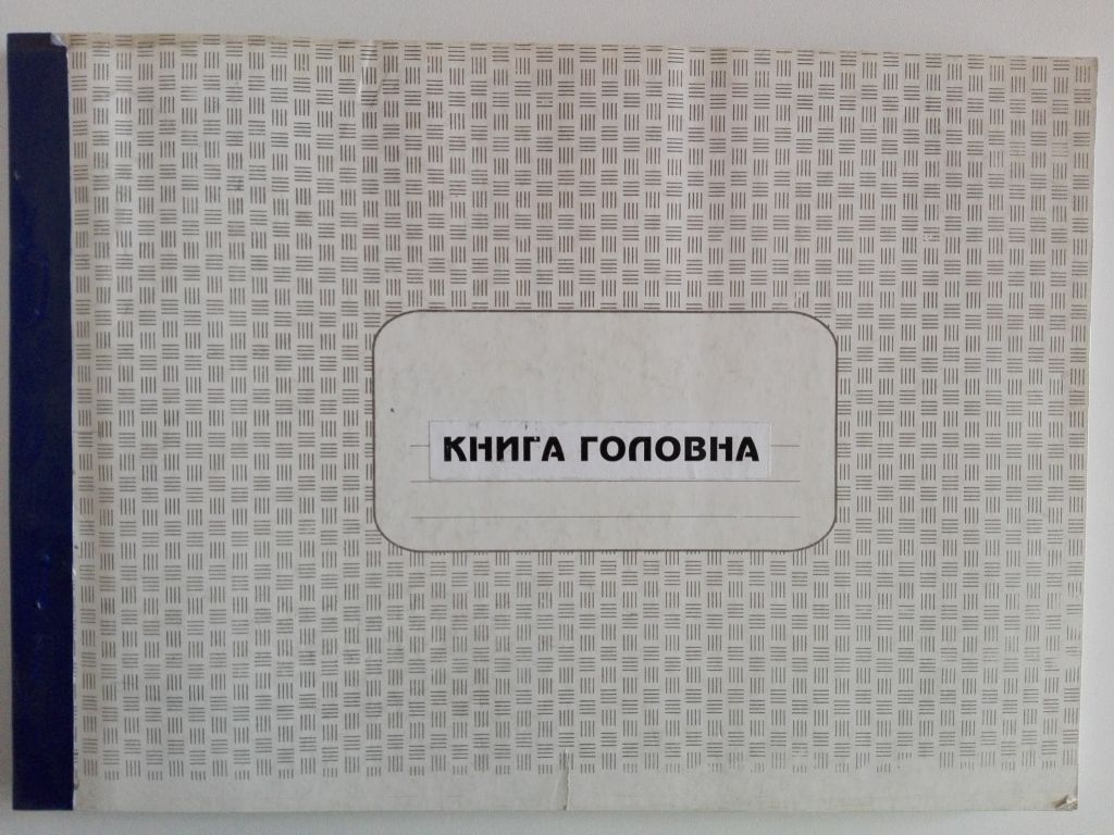 Книга головна на 100 аркушів в картонному перепльоті. - фото фото фото 0