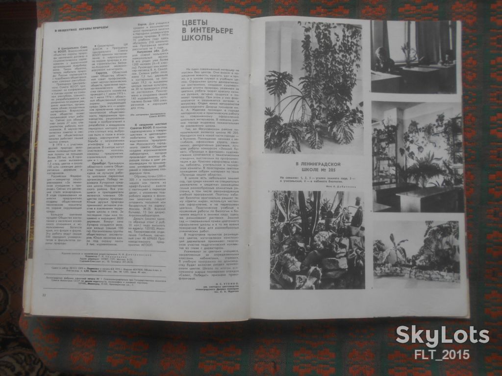 Цветоводство  1975 г.  Годовая - фото фото фото 14
