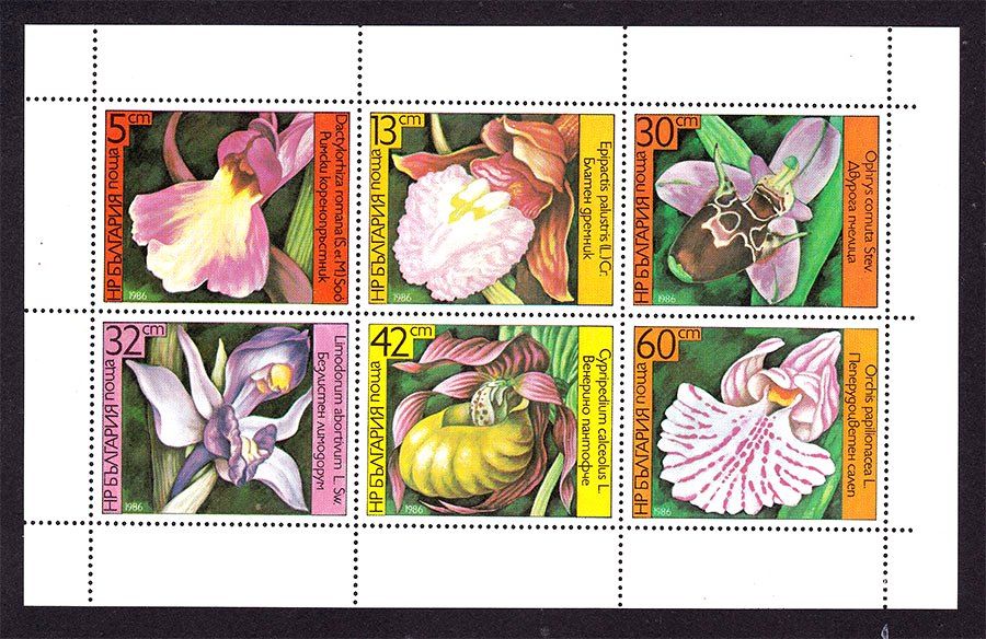 Флора . Болгаоия  MNH - цветы - фото фото фото 0