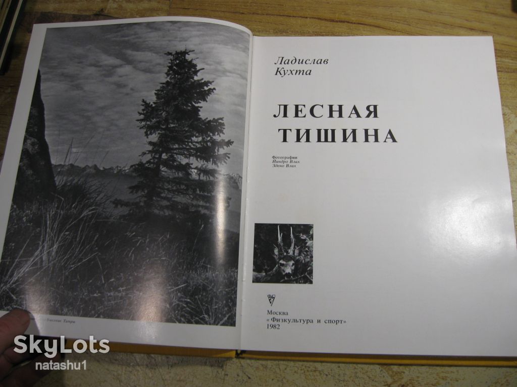 лесная тишина 1982г - фото фото фото 2