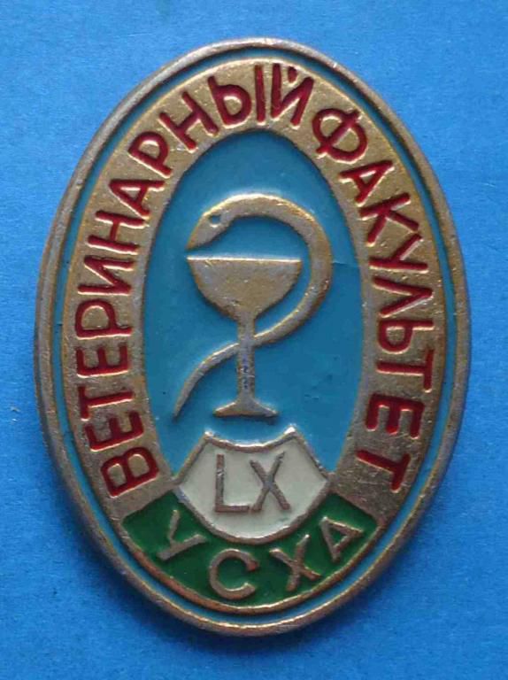 60 лет Ветеринарный факультет УСХА - фото фото фото 0