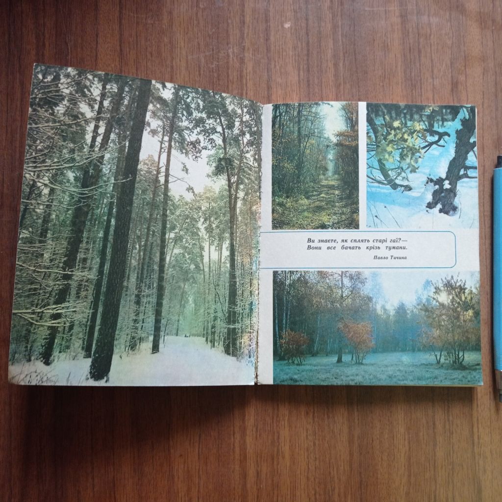 А.І. Кондратюк Лісова скринька - фото фото фото 4