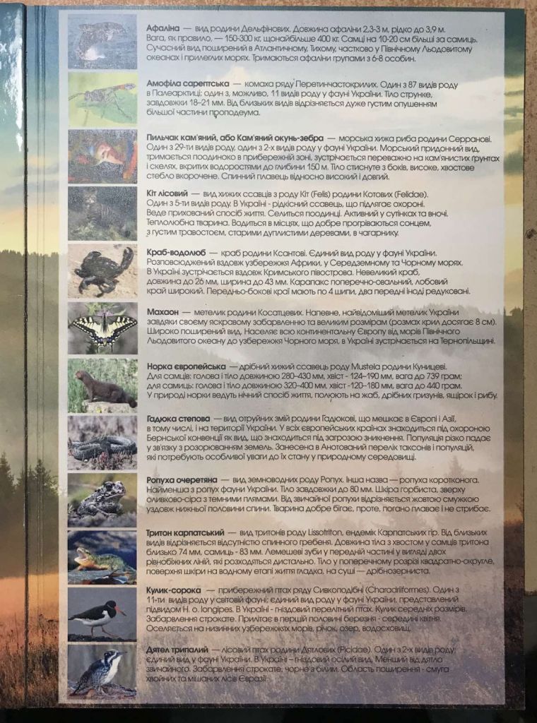 Червона Книга України другий АЛЬБОМ 2020 - фото фото фото 2