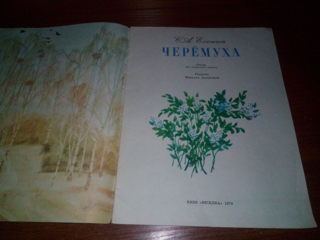 Есенин ЧЕРЁМУХА  (Рисунки Наталии Аксёновой) - фото фото фото 1