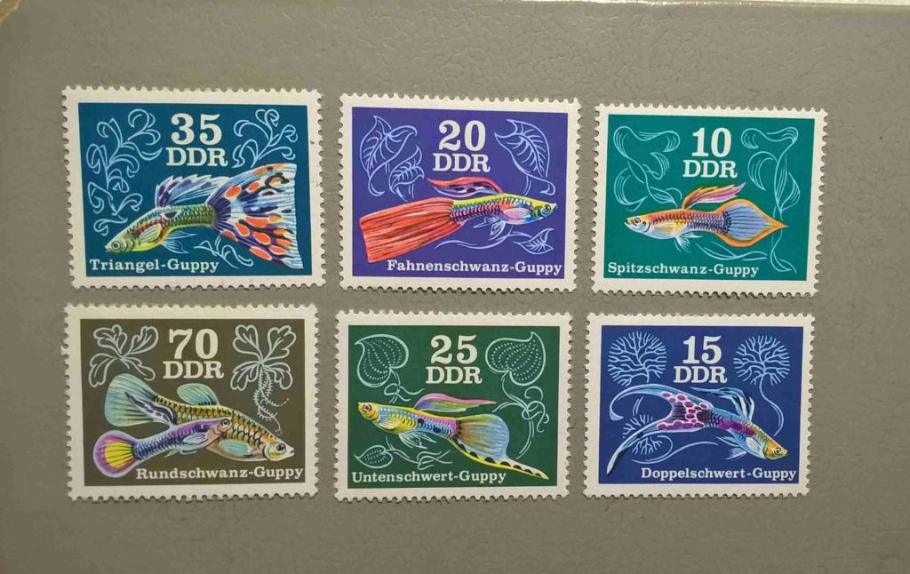 Германия ГДР Фауна Рыбы 1976 - фото фото фото 0