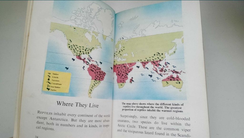 Snakes and other reptiles - На Английском English книга - фото фото фото 4
