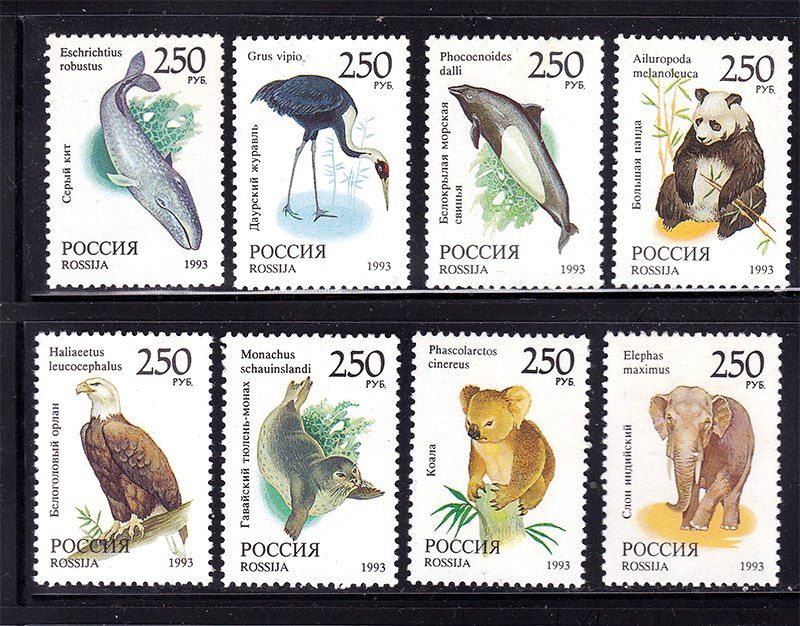 Фауна Россия  1993 г  MNH - фото фото фото 0