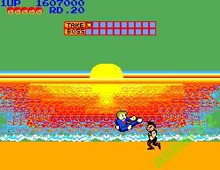 Игра на Sega Master System "My Hero"          (PAL) - фото фото фото 3