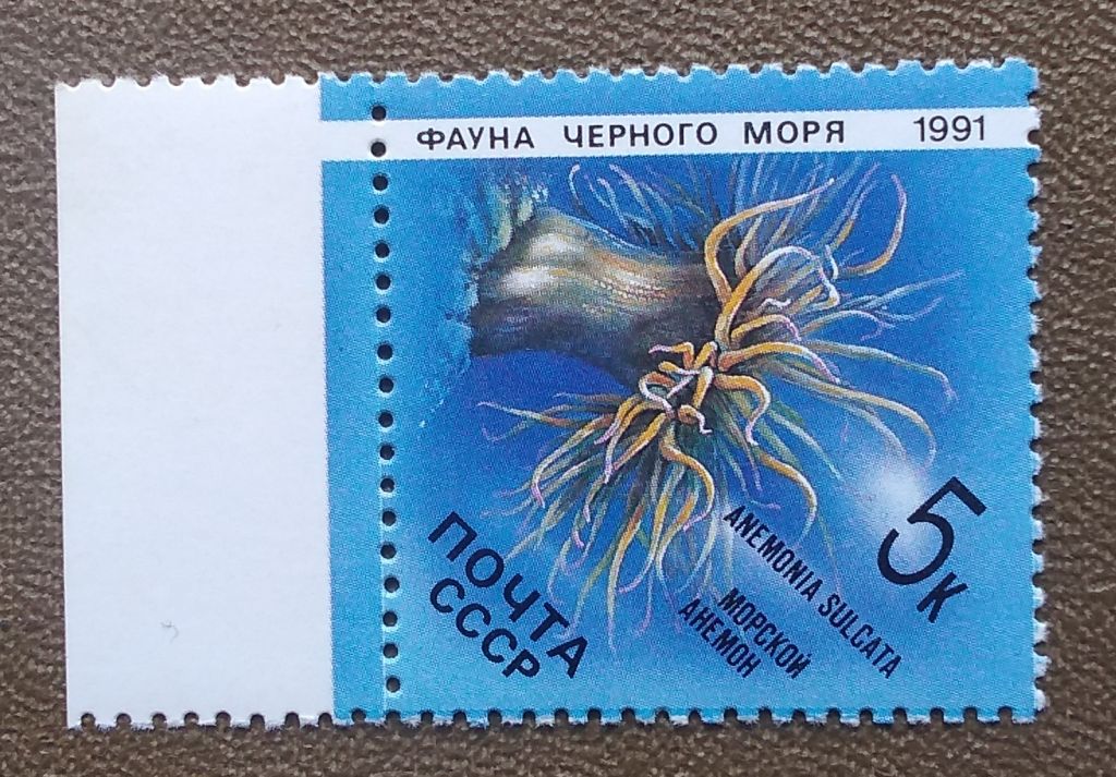 СССР 1991 г - Фауна Черного моря. Морской анемон, негаш - фото фото фото 0
