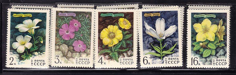 СССР  1977 г  MNH - флора - цветы - фото фото фото 0