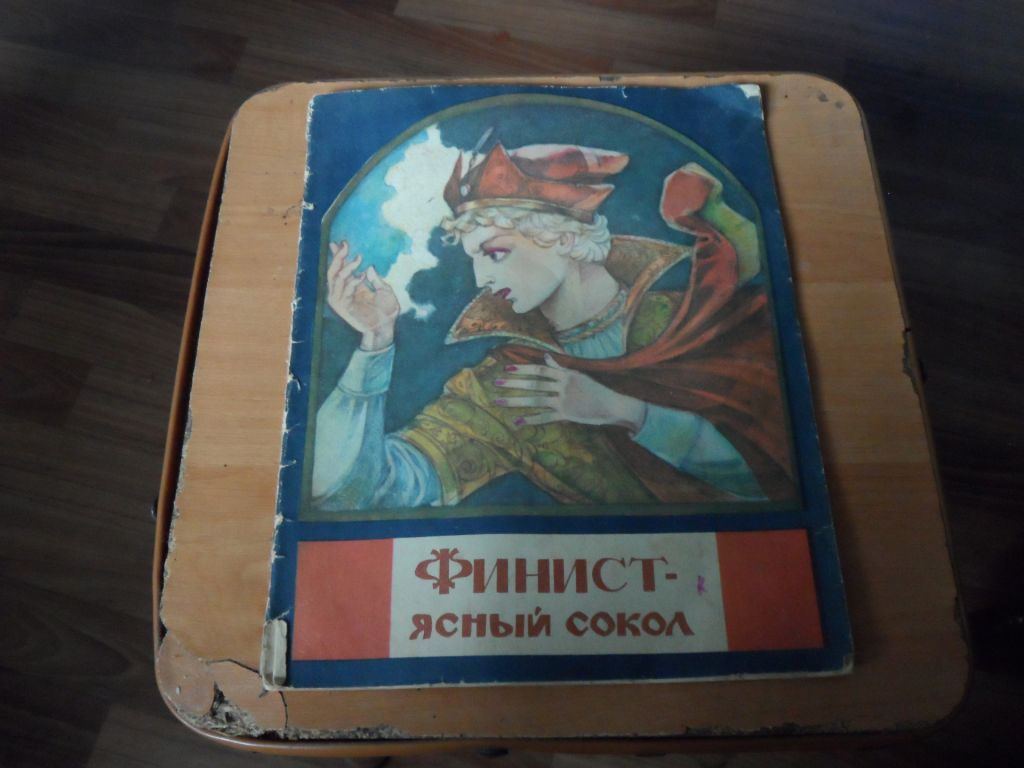 Фенист- ясный  сокол - фото фото фото 0