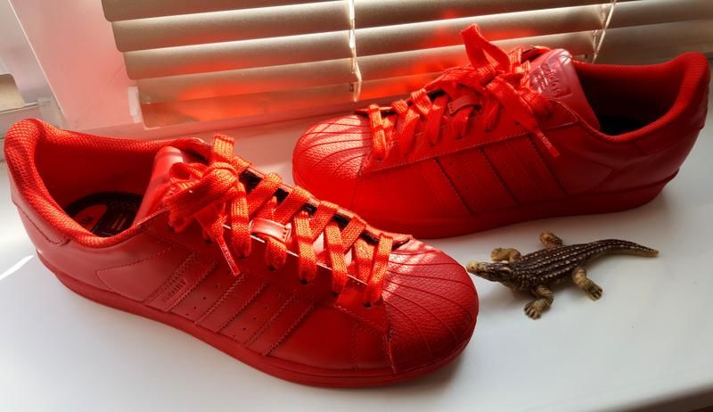 Limited edition adidas superstar original equality pharrell williams - фото фото фото 1
