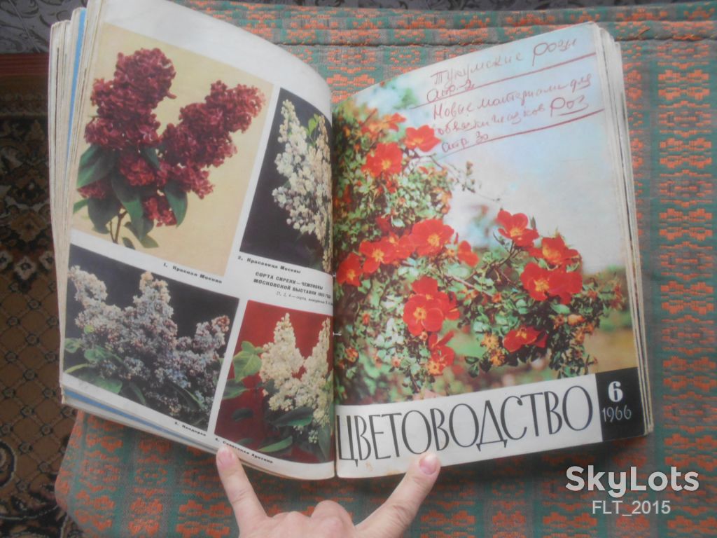 Цветоводство  1966 г.  Годовая - фото фото фото 6