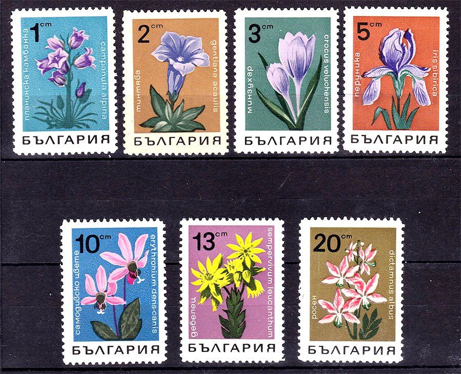 Флора . Болгаоия 1968 г MNH - цветы - фото фото фото 0
