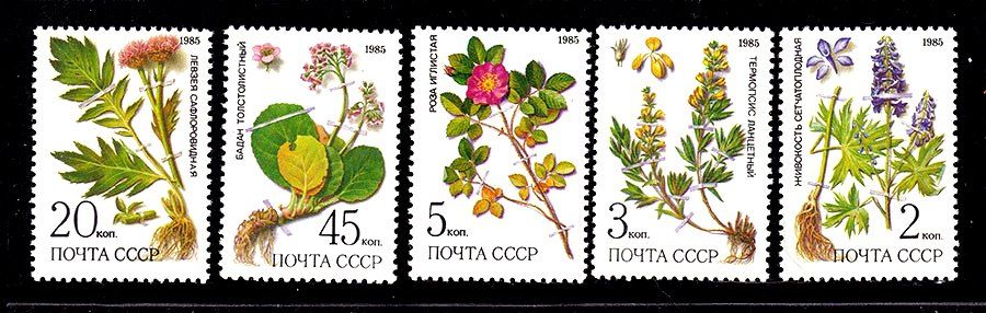 СССР  1985 г   MNH - флора - фото фото фото 0