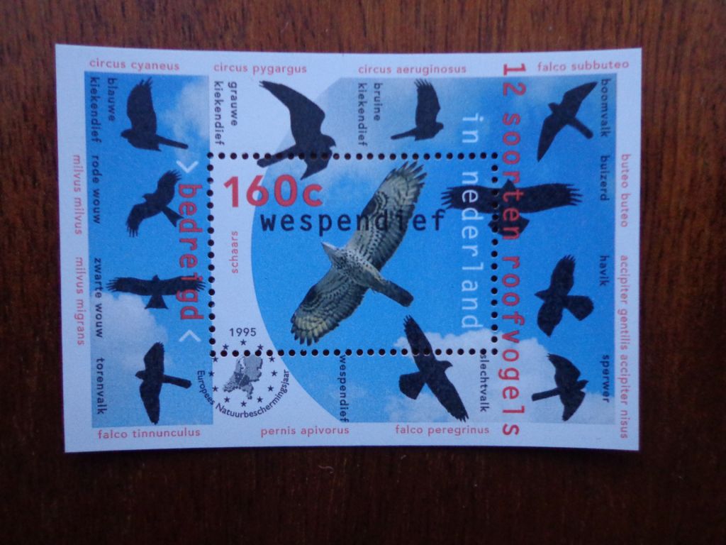 Нидерланды, 1995, фауна - ястреб, негаш. блок  MNH - фото фото фото 0