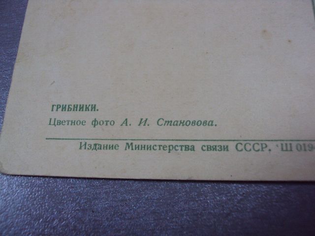 открытка грибники 1957 становова №11090 - фото фото фото 5