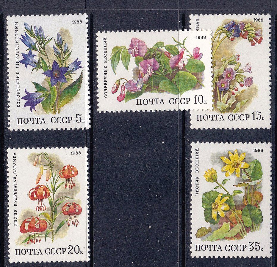 СССР  1988 г   MNH - флора - фото фото фото 0